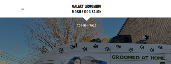 galaxygroomingsalon.com website screenshot