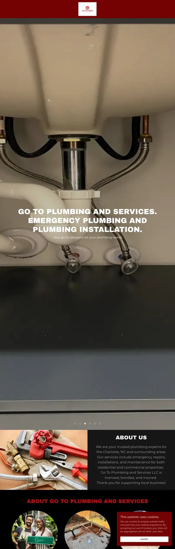 gotoplumbingservices.com website screenshot